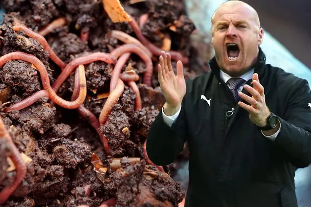 MAIN-Sean-Dyche-has-got-his-gravel-voice-because-he-eats-worms-says-former-teammate.jpg