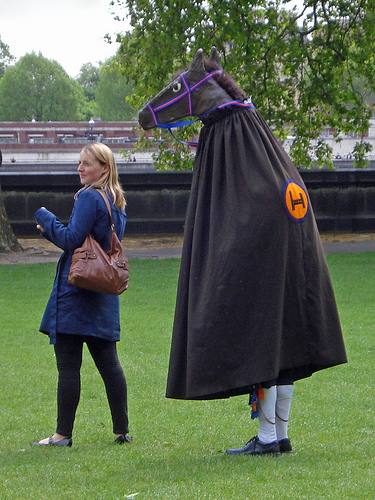 stalking-horse.jpg