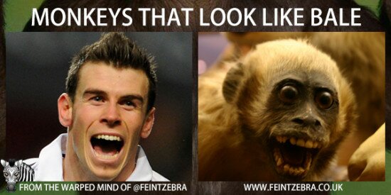 monkeys-that-look-like-bale-02-550x275.jpg