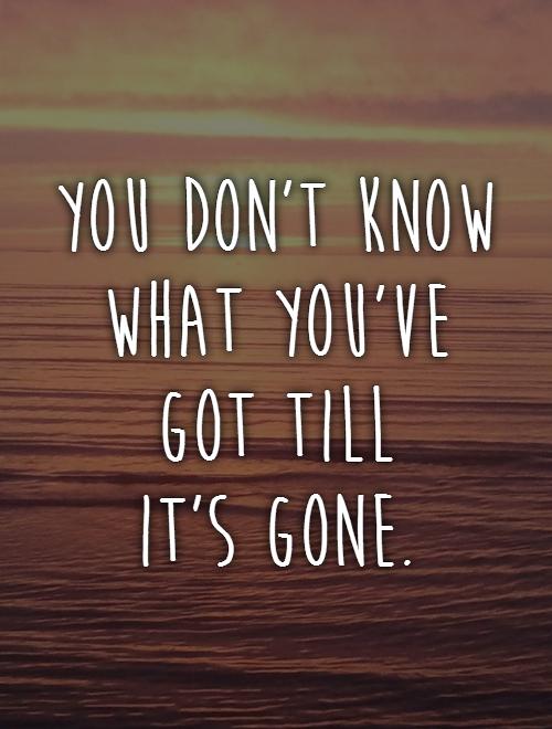 you-dont-know-what-youve-got-till-its-gone-quote-1.jpg