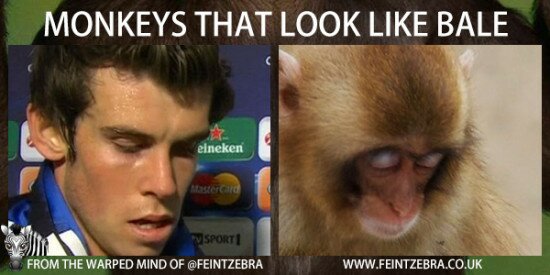 monkeys-that-look-like-bale-10-550x275.jpg