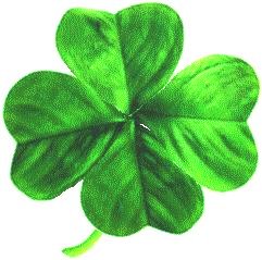 Four-leaved_clover1.jpg