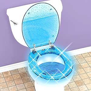 toiletseat.jpg
