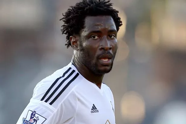 Wilfried-Bony.jpg