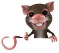 thumbs+up+rat.jpg