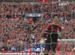 tumblr_m2hpiacDX11r8fm3eo5_250.gif