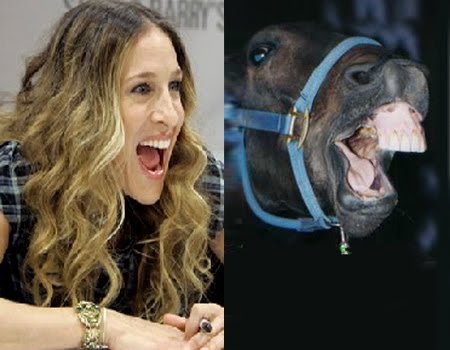 Sarah-Jessica-Parker-looks-like-a-Horse-01.jpg