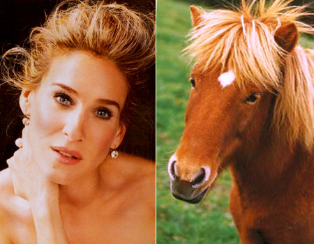 Sarah-Jessica-Parker-looks-like-a-Horse-04.jpg