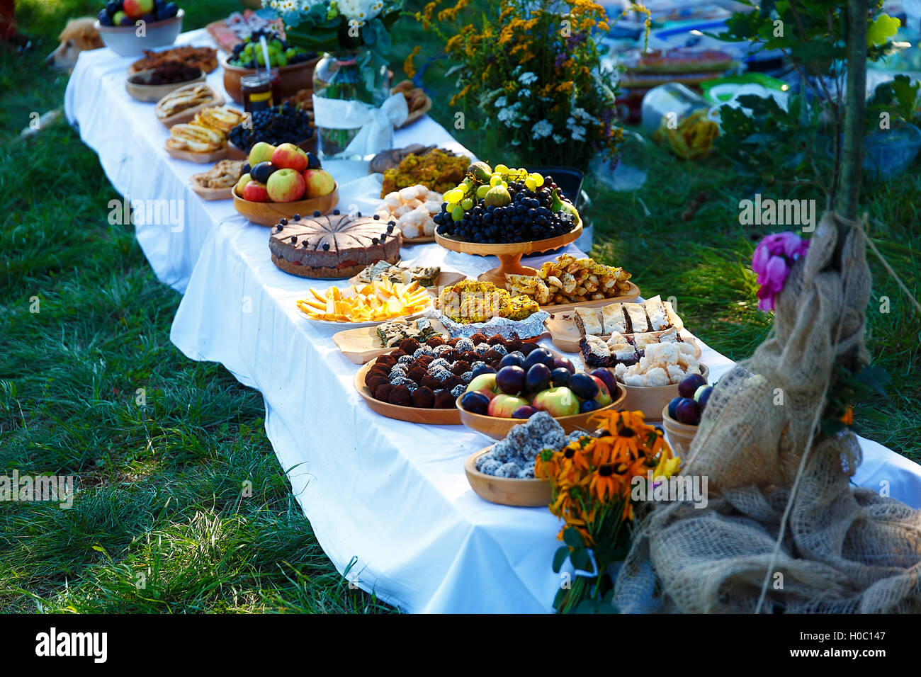 beautiful-wedding-feast-in-nature-abundance-of-meals-on-a-table-H0C147.jpg